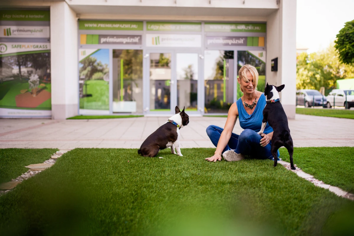 Prémium Pázsit Kft.