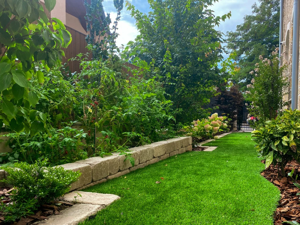 Eden 45 mm - marketing